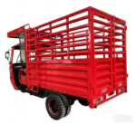 Heavy-duty cargo tricycle with Canopy